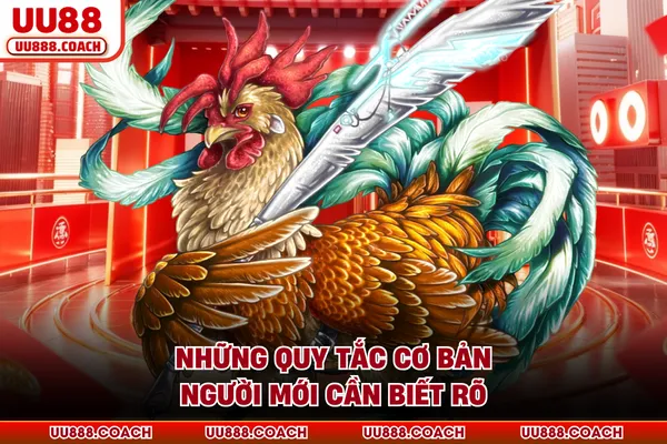 Những quy tắc cơ bản người mới cần biết rõ
